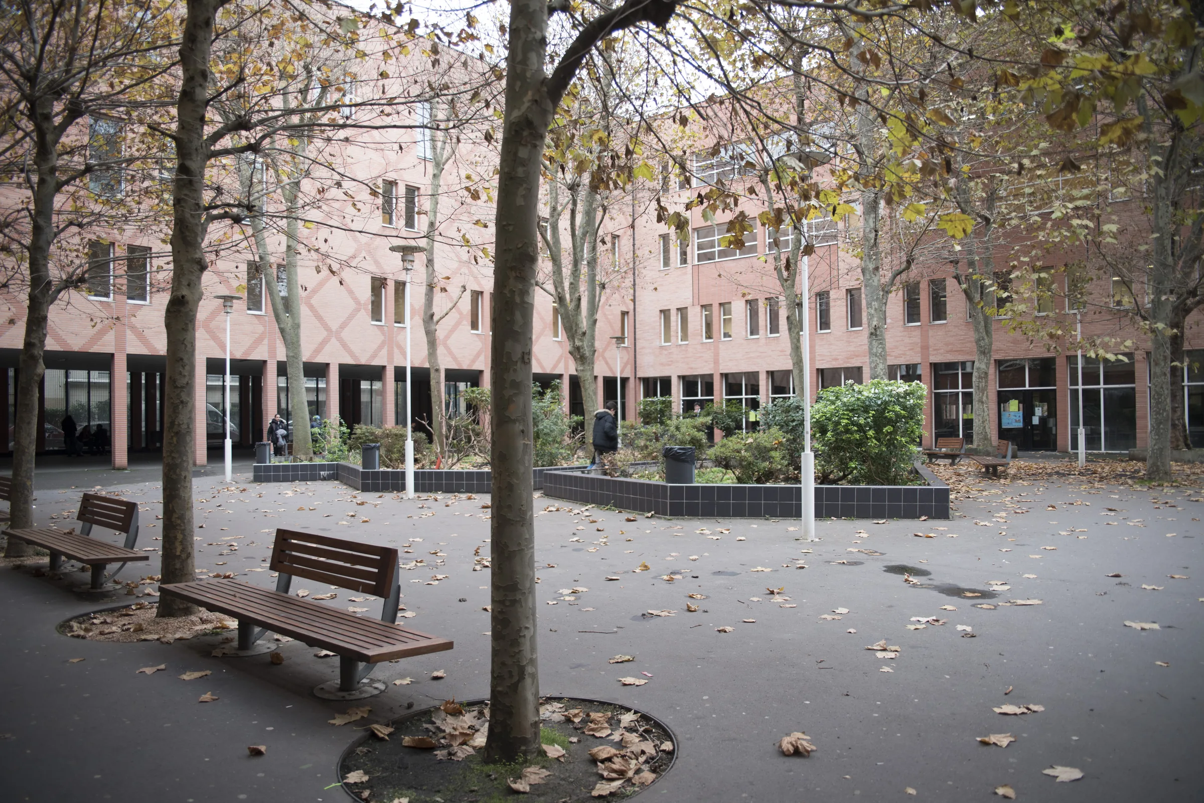 Cour intérieure du lycée sous les arbres